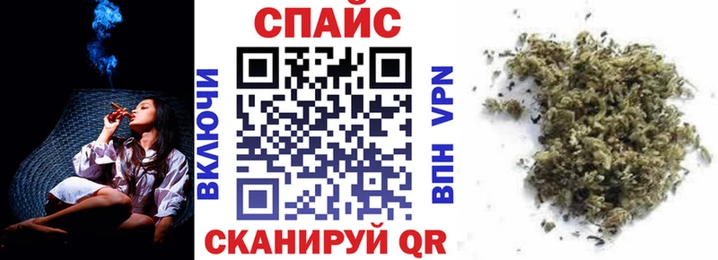 Купить где  Медынь  Бутират буратино 