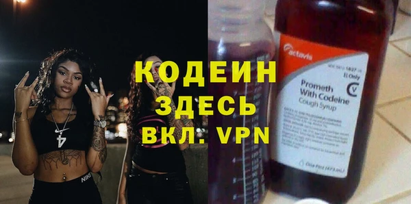 дурь Инсар