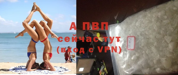 эйфоретик Инта