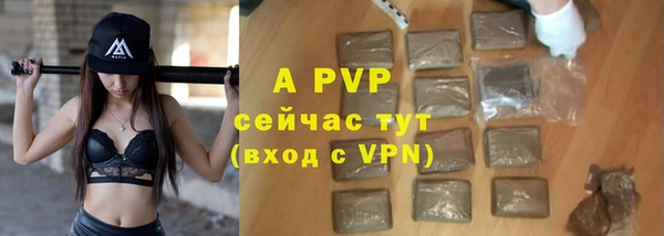 дурь Инсар