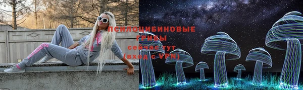 дурь Инсар