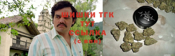 дурь Инсар