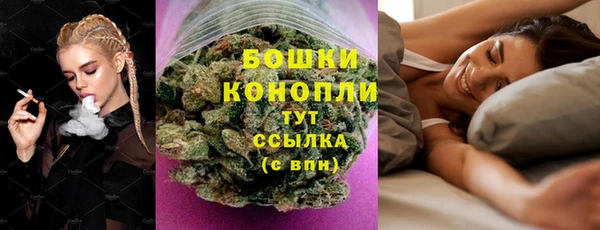 эйфоретик Инта